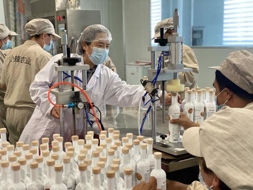 沙漠玫瑰 任长艳十年援疆路，戈壁滩上绽放的坚守与奇迹